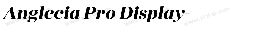Anglecia Pro Display字体转换